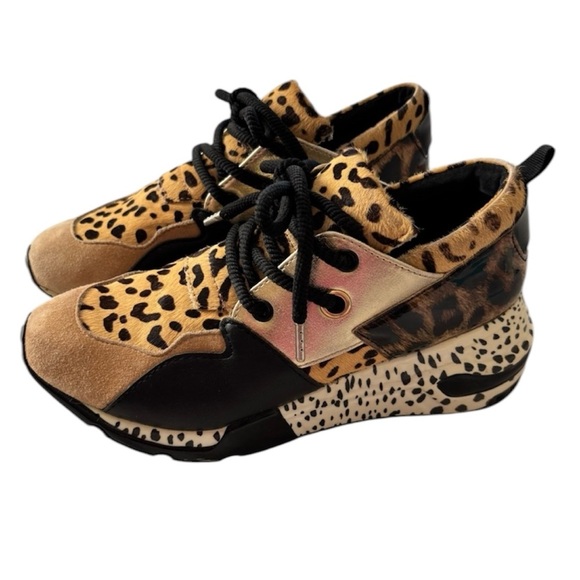 Steve Madden Shoes - Steve Madden Cliff wedge Animal Print Sneakers SZ 7.5 Worn 1X Indoors